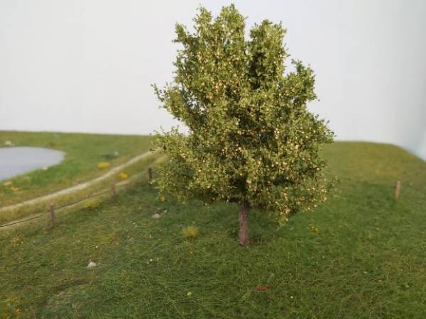 Pear tree Profiline ,summer H0